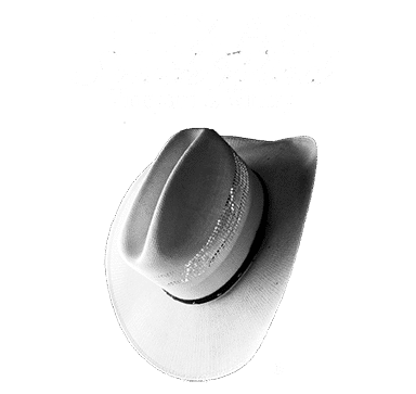 Logo for Texas SouthWind